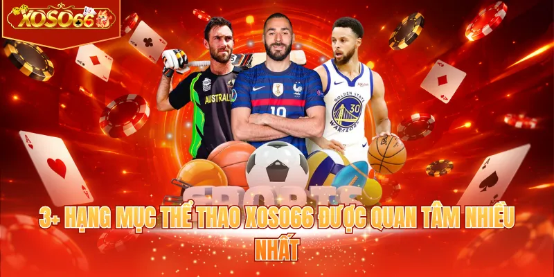 3+ hạng mục thể thao XOSO66 được quan tâm nhiều nhất 